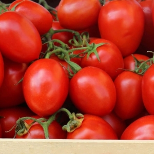 乌克兰热门蔬菜价格下跌——来源：财经新闻