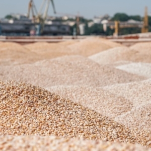 专家称：受俄军袭击港口影响，乌克兰农产品出口量暴跌近 50%——来源：乌克兰国家通讯社