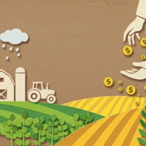 粮农组织：战争导致乌克兰农民收入锐减——来源：乌克兰网