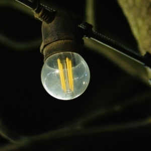 基辅州斯拉夫蒂奇在俄军晨间袭击后断电——来源：乌克兰国家通讯社