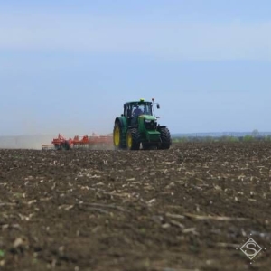 受价格上涨推动，2026年乌克兰荞麦播种面积将增加15%至20%——来源：乌克兰网