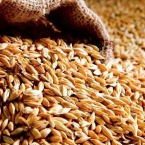 乌克兰3月份出口了550万吨农产品——来源：乌克兰网