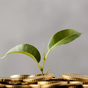 乌克兰将更新自主创业计划：企业最高补贴拨款额度将提升至250万格里夫纳——来源：财经新闻