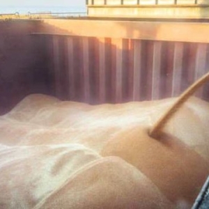 农户已在22%的收割面积上收获新季谷物及豆类作物近1060万吨——来源：乌克兰国际文传电讯社